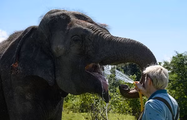 Công viên-điều dưỡng được bao quanh bởi một bên là núi và một bên là khối núi xanh.