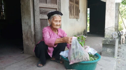 Cụ Đỗ Thị Mơ (83 tuổi), ở xã Lương Sơn, huyện Thường Xuân (Thanh Hóa) đã lên UBND xã đề nghị được thoát nghèo.