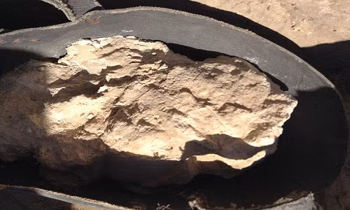 Phô mai 3.200 năm chứa vi khuẩn chết người trong ngôi mộ Ai Cập - Ảnh 2.