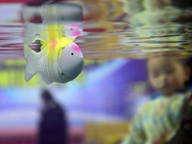 Trung Quốc chế tạo cá robot thân mềm đo độ mặn nước biển