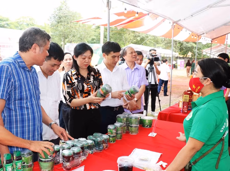 Chủ tịch Hội Nông dân tỉnh Bắc Ninh - Nguyễn Thị Lệ Tuyết (thứ 4 từ trái qua) cùng các đại biểu tham quan các gian hàng tại Chợ phiên.