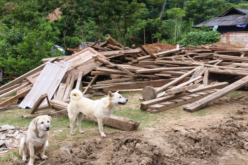 Những ngôi nhà chỉ còn là đống đổ nát sau lũ.