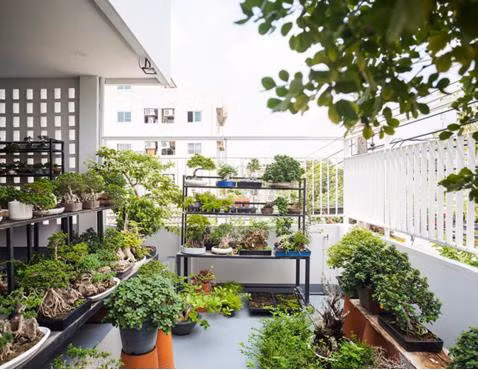 Ngôi nhà tràn ngập cây xanh của vợ chồng trẻ gây sốt trên báo Mỹ - Ảnh 21.