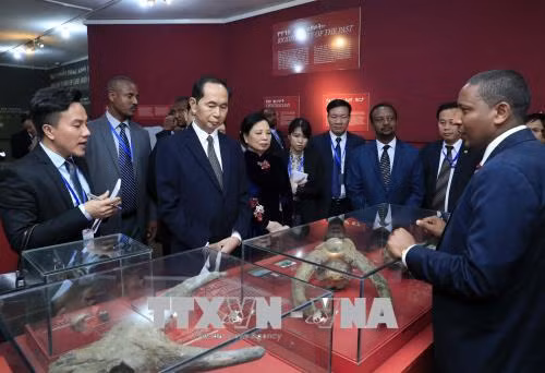 Chủ tịch nước Trần Đại Quang và Phu nhân cùng Đoàn đại biểu cấp cao Việt Nam thăm Bảo tàng Quốc gia Ethiopia.