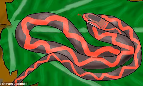 Hình ảnh phục dựng "rắn có cánh" sống cách đây 5 triệu năm. 