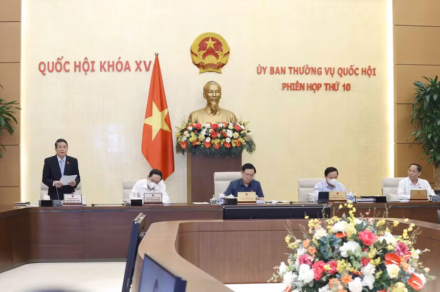 Phó Chủ tịch Quốc hội Nguyễn Đức Hải phát biểu tại Phiên họp. Ảnh: Doãn Tấn/TTXVN