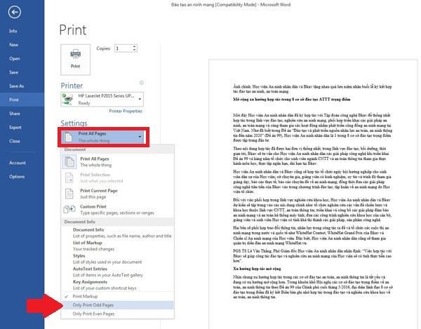 Hướng dẫn in 2 mặt trong Word ảnh 2 B0-Huong-dan-in-2-mat-trong-Word-2010-2013-2007-2003(1).jpg