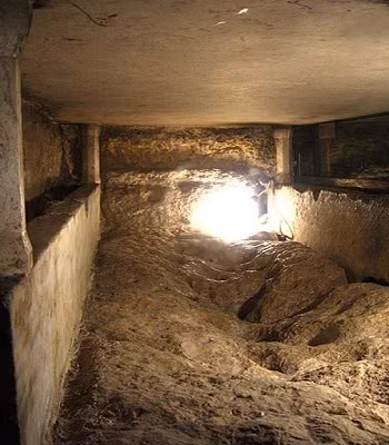 ngoi-mo-co-the-la-noi-chon-cat-duc-me-dong-trinh-mary-1