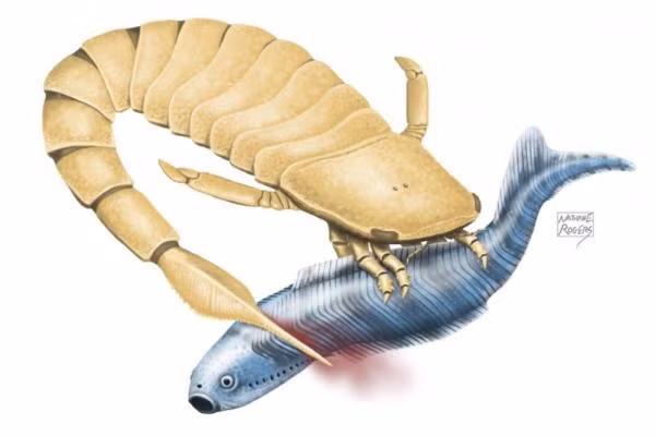 Bọ cạp biển cổ đại giết chết con mồi bằng chiếc đuôi răng cưa