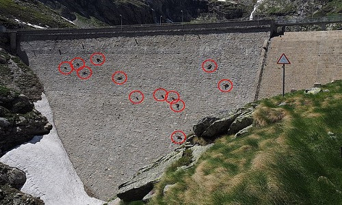 Những con dê chen nhau liếm muối trên vách đập. Ảnh: Sun.