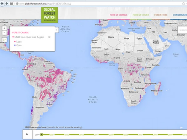 Dữ liệu về các diện tích rừng bị phá trên trang globalforestwatch.org