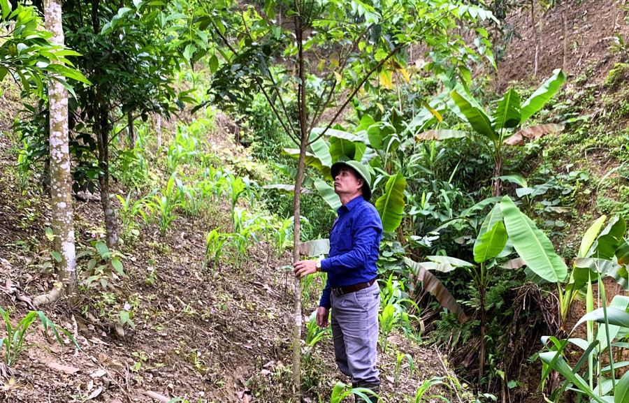 Nhờ sự hỗ trợ của Nhà nước, nhiều hộ dân Bắc Kạn đã đẩy mạnh phát triển kinh tế, vươn lên làm giàu.