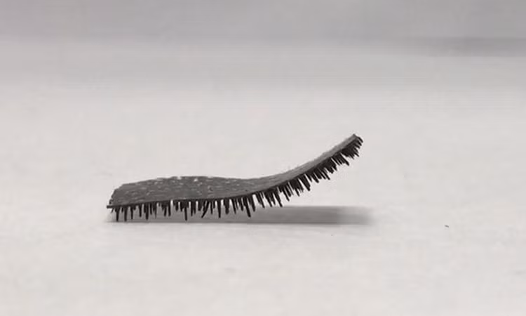 Robot dài một mm mang được vật nặng gấp 100 lần cơ thể 