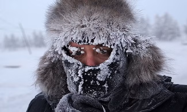 Điều gì xảy ra nếu con người là động vật máu lạnh? 