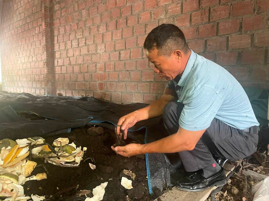 Gia đình ông Đồng Quang Cường phát triển thêm mô hình nuôi giun. Gia đình ông Đồng Quang Cường phát triển thêm mô hình nuôi giun.