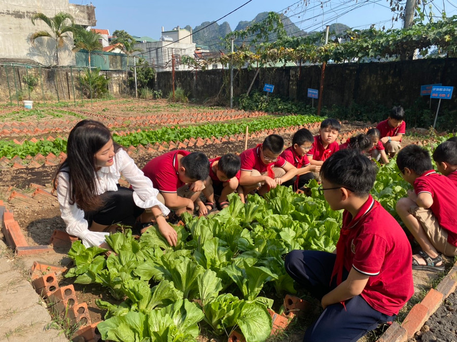 Học sinh trải nghiệm làm nông dân. Học sinh trải nghiệm làm nông dân.