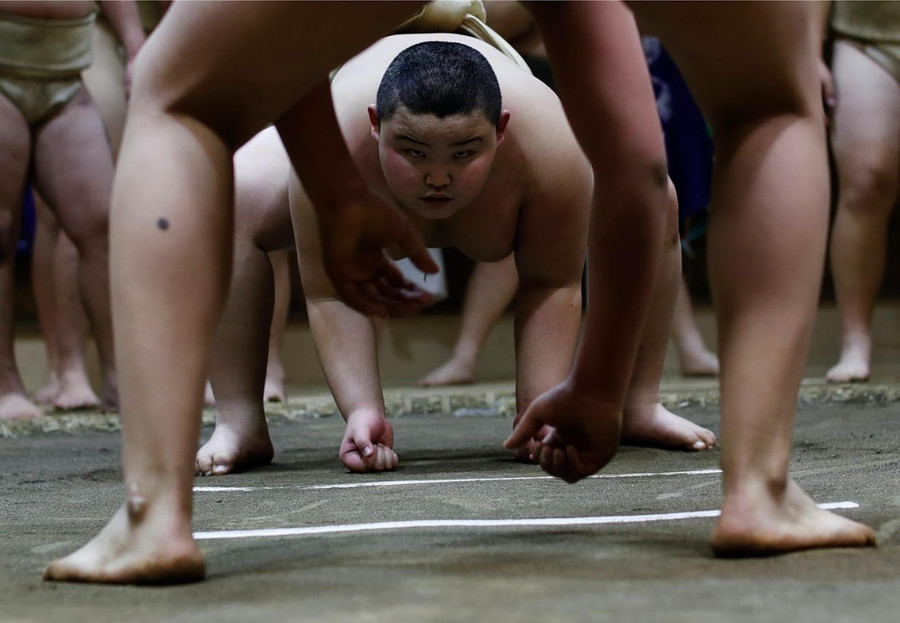 Kyuta tập luyện tại võ đài truyền thống Dohyo. Kyuta tập luyện tại võ đài truyền thống Dohyo.