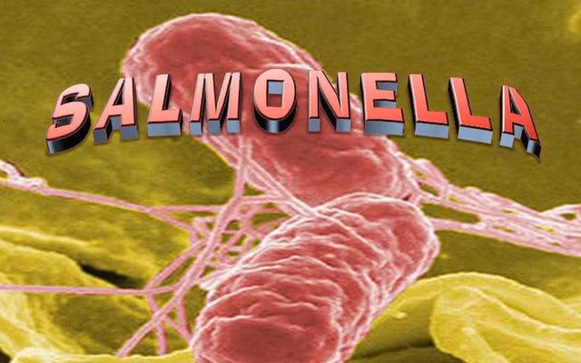 Vi khuẩn này có trong cơ thể người đang đứng trước tình trạng kháng thuốc, làm thế nào để bảo vệ bản thân mình?