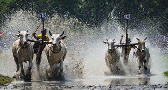 Nước rút về đích