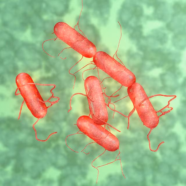 Vi khuẩn này có trong cơ thể người đang đứng trước tình trạng kháng thuốc, làm thế nào để bảo vệ bản thân mình? - Ảnh 4.