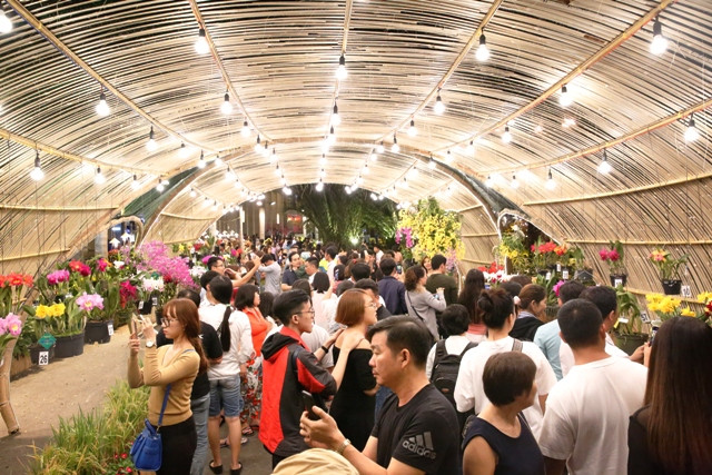 Khu vực trưng bày hoa lan thu hút nhiều người tham quan Khu vực trưng bày hoa lan thu hút nhiều người tham quan