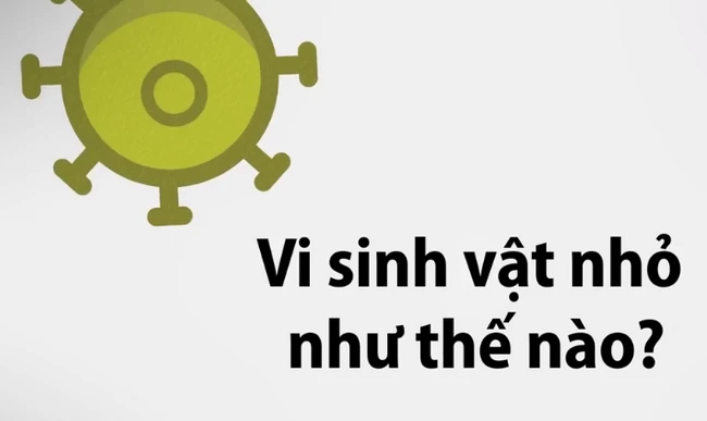 Vi sinh vật nhỏ như thế nào?