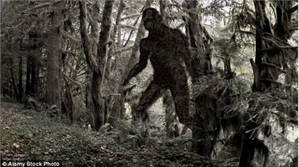 Phát hiện quái vật Bigfoot to lớn trong rừng gây sốc?