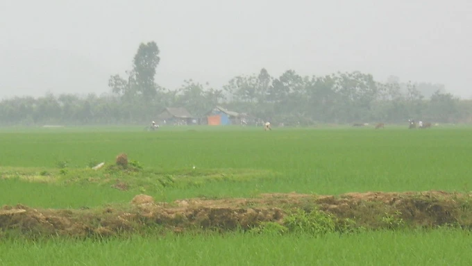 Cánh đồng Nương Mạ, nơi phát hiện thi thể hai anh em Nguyên - Trỗi ở dưới ao gần bìa làng