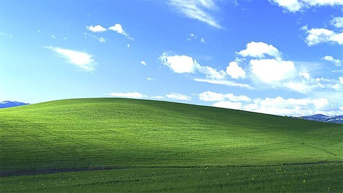 Bản quyền ảnh nền Windows XP khoảng 10 triệu USD