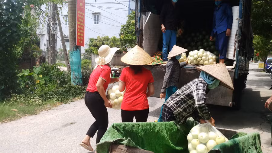 CB, GV Trường mầm non Đức Giang hỗ trợ người dân tiêu thụ nông sản.
