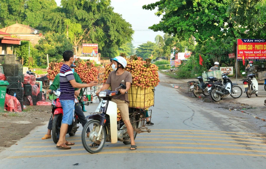 Giá bán vải dao động từ 13.000 - 33.000 đồng/kg (Ảnh Anh Tú).