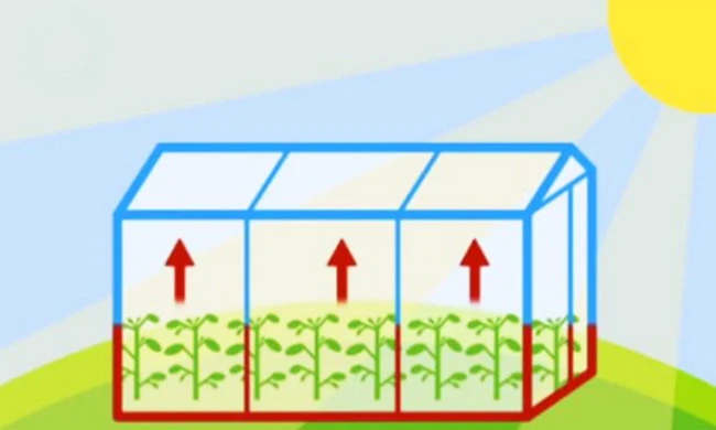 Lợi ích và tác hại của hiệu ứng nhà kính