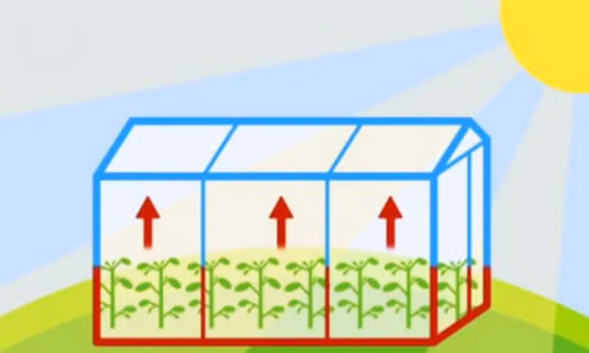 Lợi ích và tác hại của hiệu ứng nhà kính