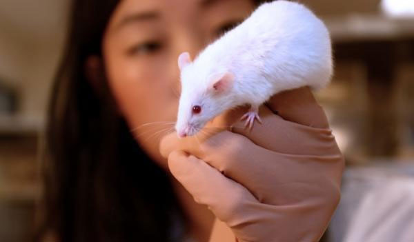 ADN, di truyền, con người ADN, di truyền, con người