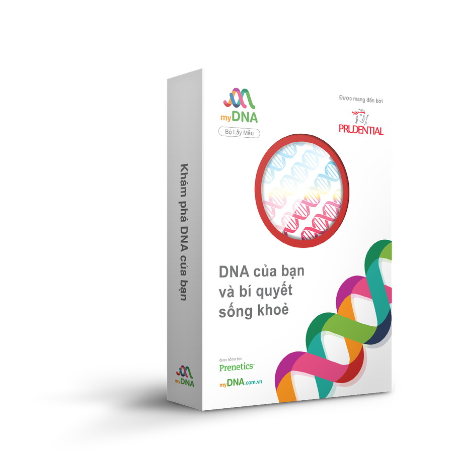 Hình ảnh quảng bá dự án