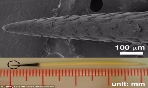 giai-cuu-chu-cho-bi-350-gai-nhim-cam-chi-chit-khap-mat-4