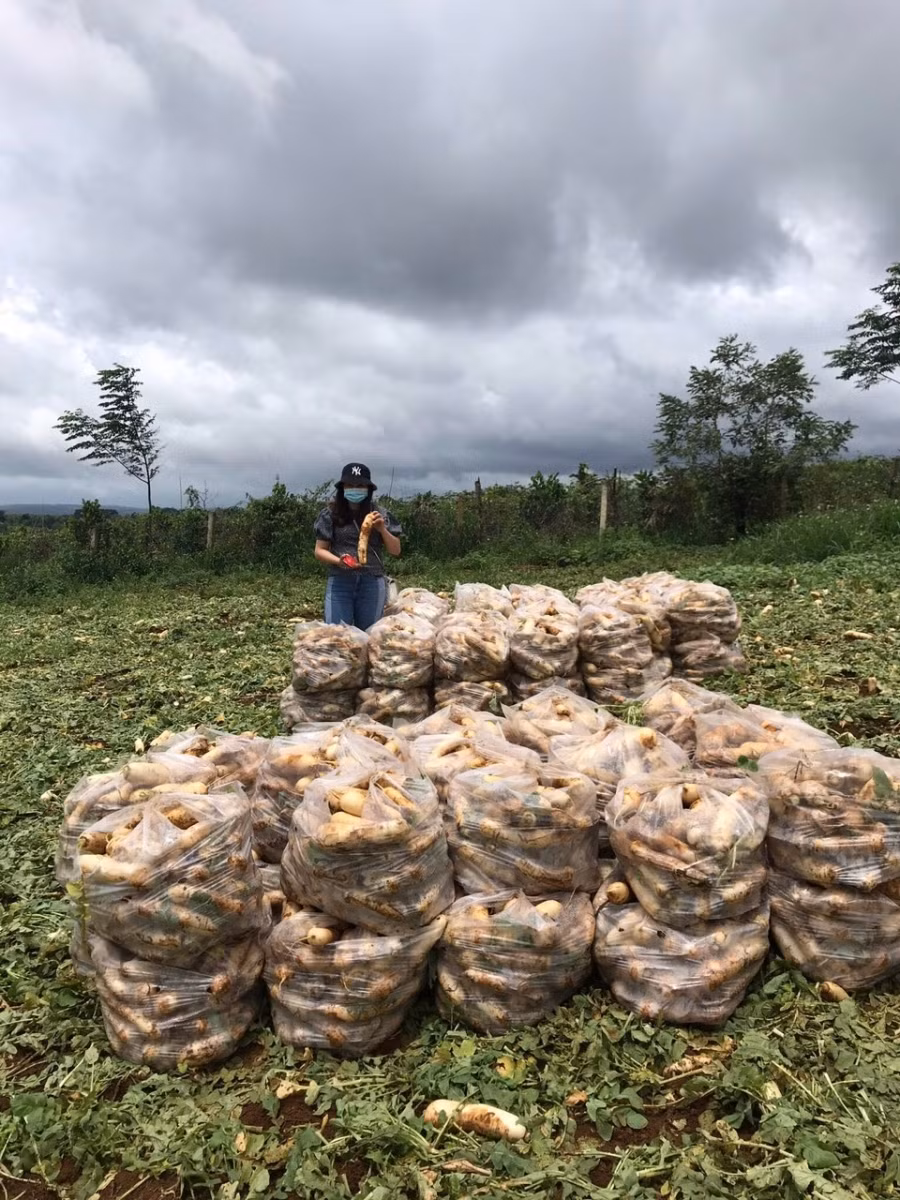 Nông sản được đóng gói cẩn thận.