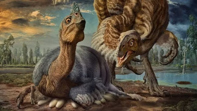 Khủng long ấp trứng như thế nào?