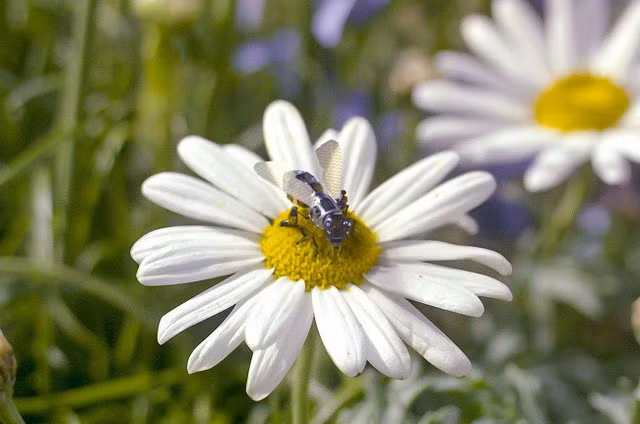 Những thiết bị công nghệ khiến bạn cứ ngỡ là đến từ tương lai - Ảnh 5.