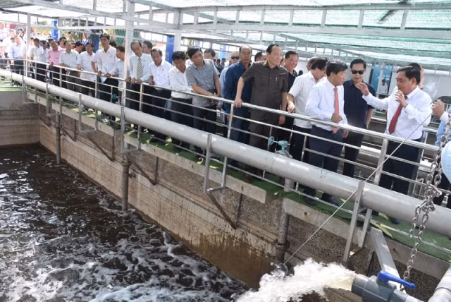 Ông Huỳnh Uy Dũng (bìa phải) giới thiệu quy trình xử lý nước thải của nhà máy với các đại biểu