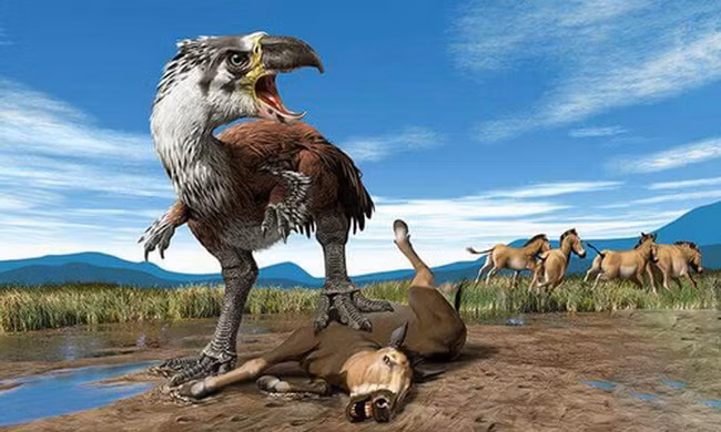 Những loài chim không biết bay lớn nhất thời tiền sử