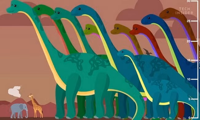 Những loài lớn nhất trên Trái Đất