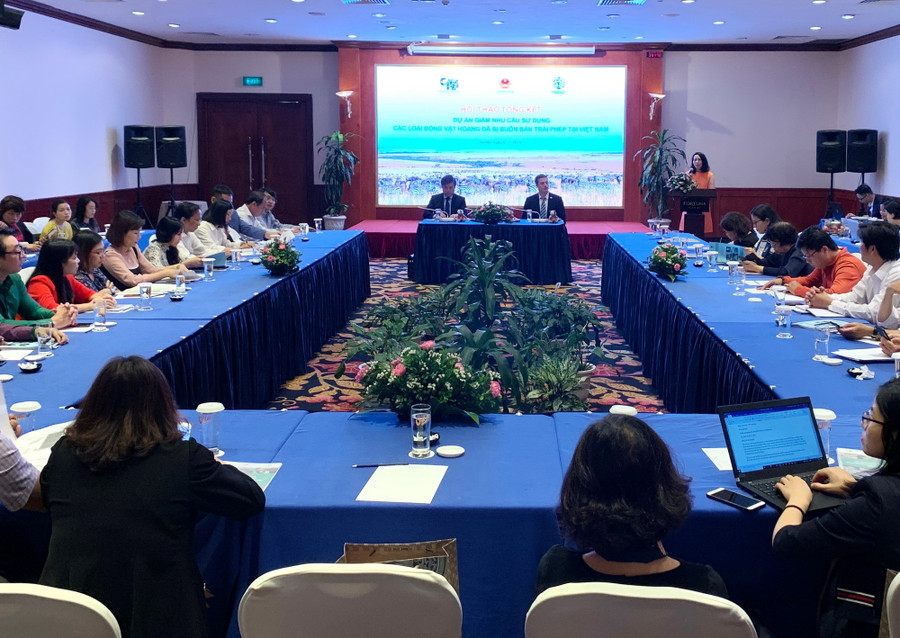 Quang cảnh hội thảo