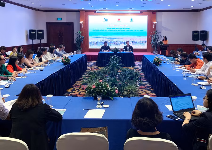 Quang cảnh hội thảo