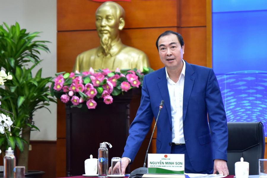 Ông Nguyễn Minh Sơn, Giám đốc Sở Nông nghiệp và Phát triển Nông thôn tỉnh Quảng Ninh.