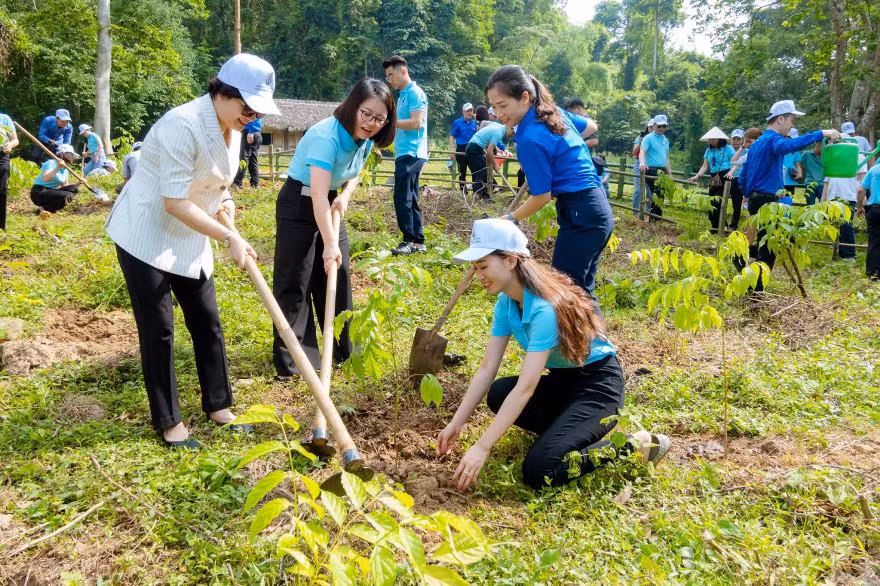 Năm 2020, Agribank hoàn thành mục tiêu trồng 1 triệu cây xanh tại các địa phương trên cả nước