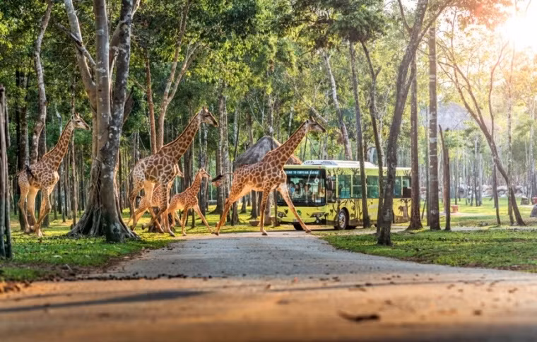 Choáng ngợp một bắc đảo Phú Quốc mới lạ đang đón chờ du khách