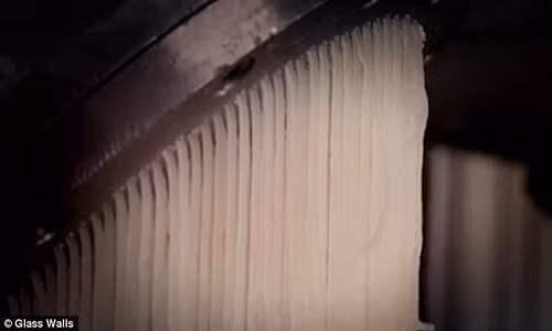 chat-phu-gia-thuc-phm-gelatin-duoc-san-xuat-the-nao-3