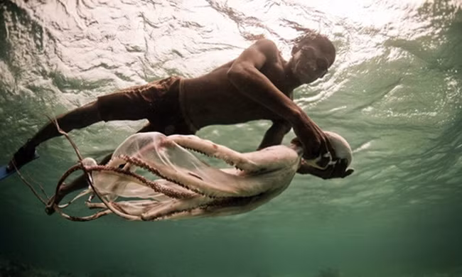 Tộc người đầu tiên tiến hóa để lặn sâu 70 mét