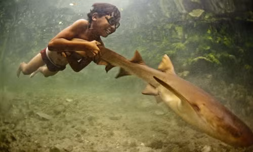 Một chuyến lặn xuống nước để bắt cá của người Bajau.&nbsp;Ảnh:&nbsp;James Morgan.